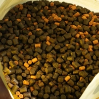OMC iScream Pellet Mix 1kg